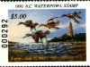 North Carolina Duck Stamp 1992